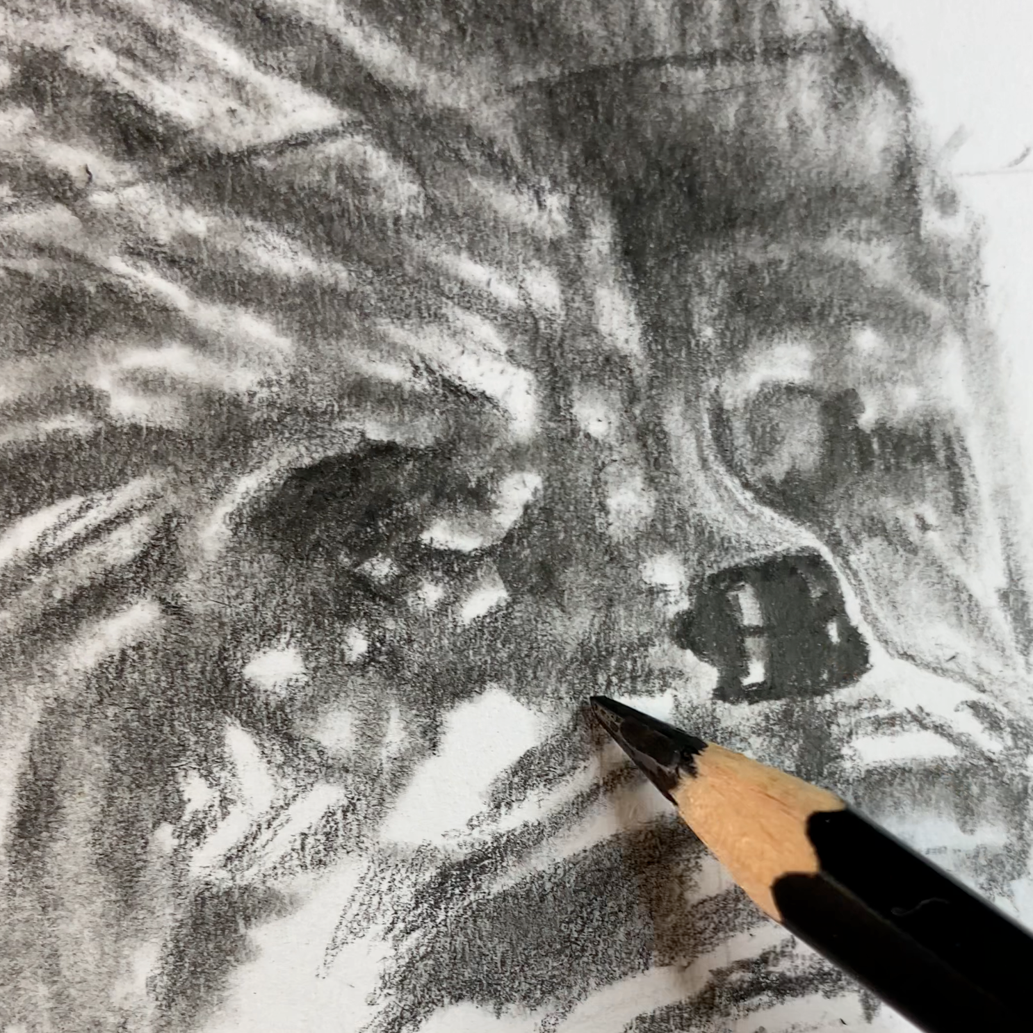 LEGO Han Solo and Chewbacca Graphite Pencil Drawing - PRINT
