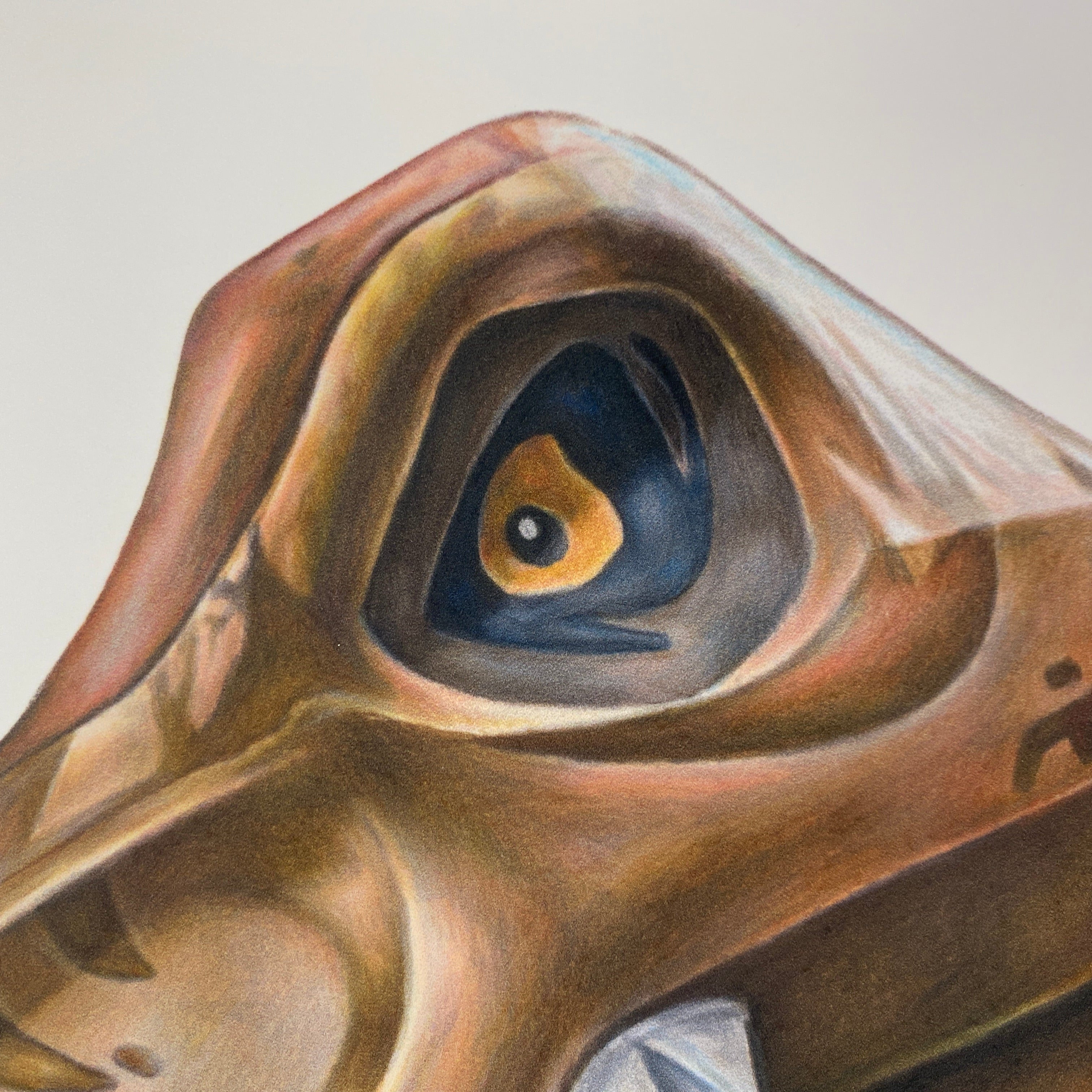 close up of a detailed realistic coloured pencil drawing of a lego t-rex eye by tom mothersole