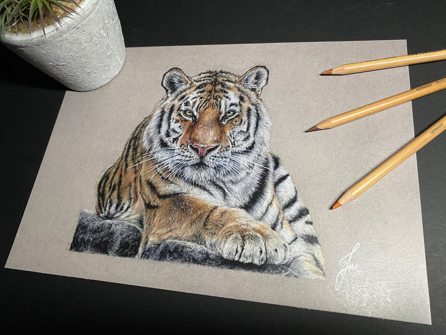 Tiger Pastel Pencil Drawing - PRINT