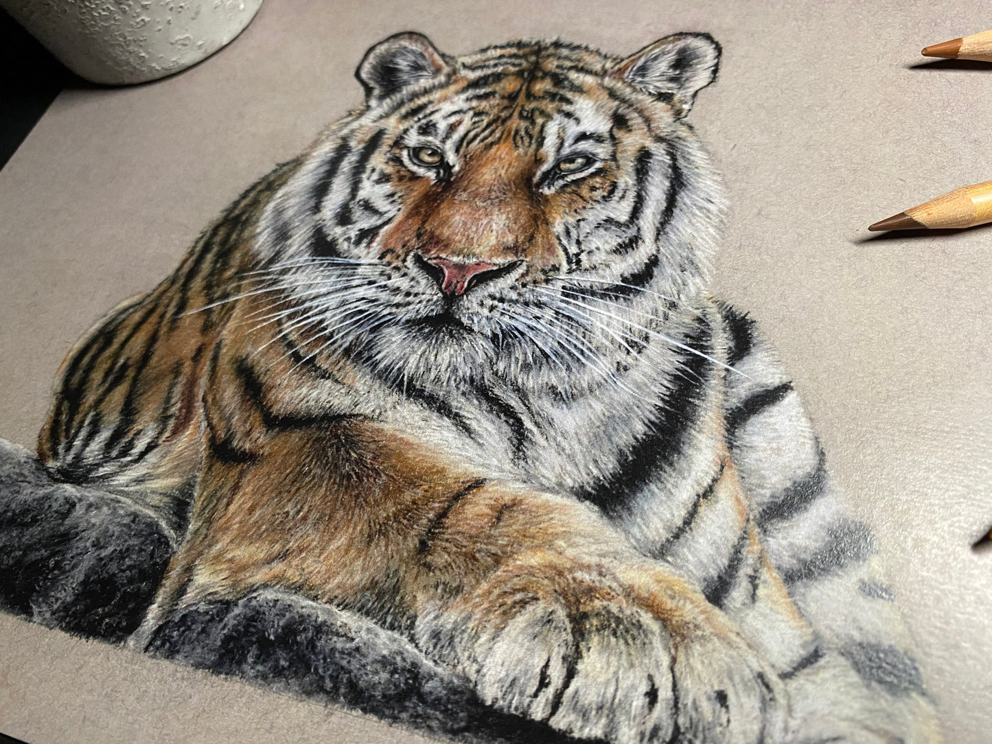 Tiger Pastel Pencil Drawing - PRINT