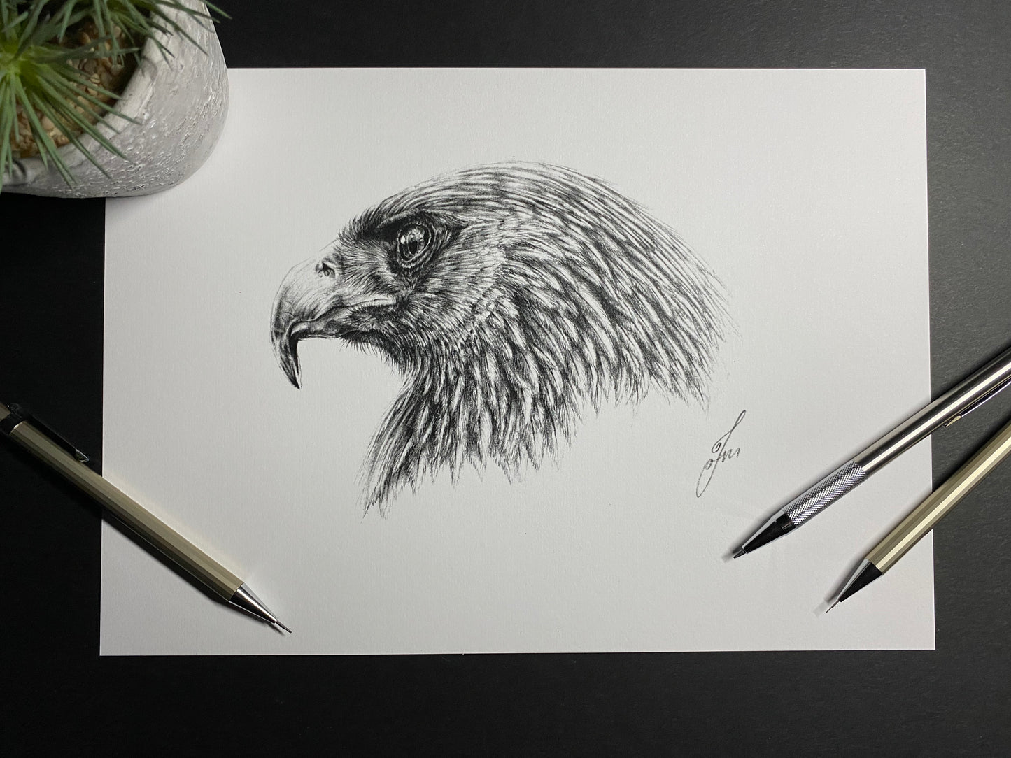 Eagle Graphite Pencil Drawing - PRINT