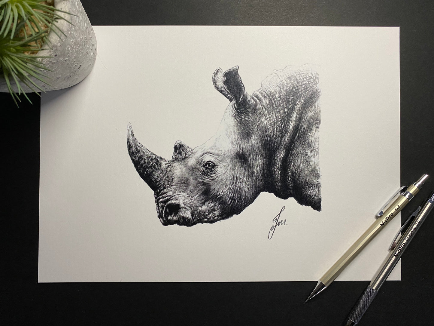 Rhino Graphite Drawing - PRINT