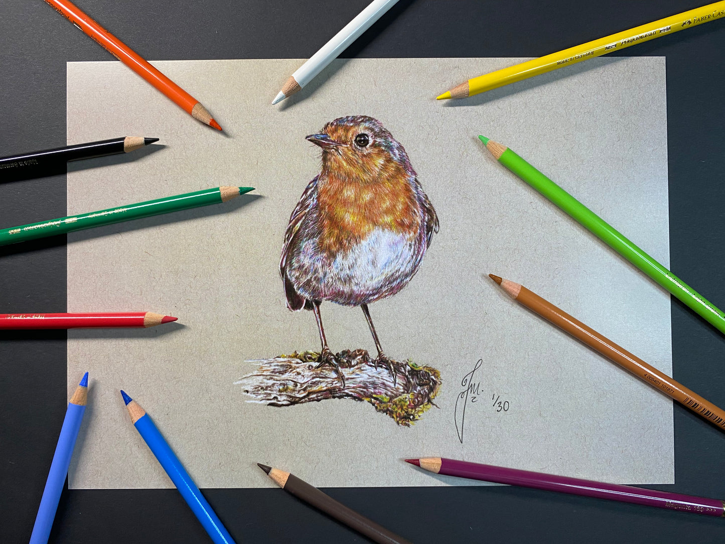 Robin Drawing - PRINT