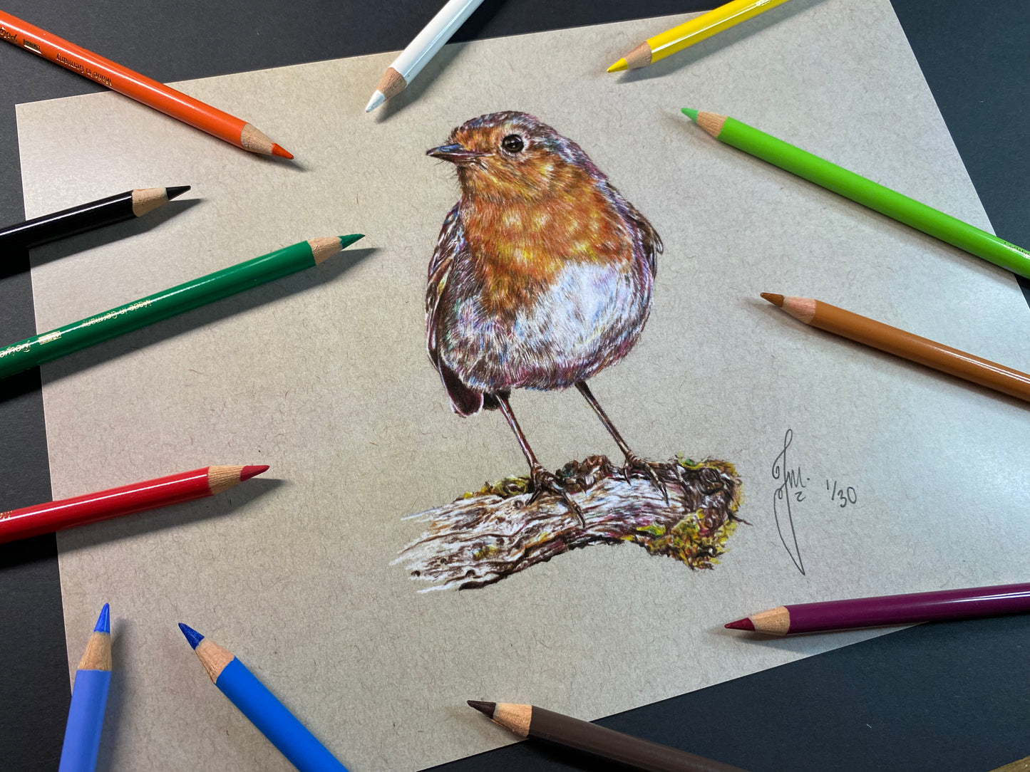 Robin Drawing - PRINT