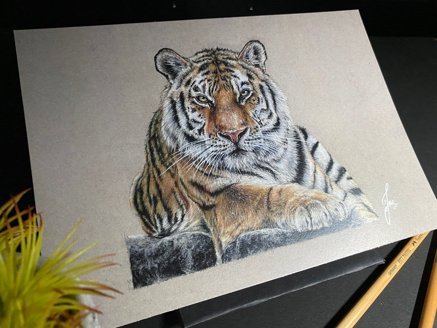 Tiger Pastel Pencil Drawing - PRINT