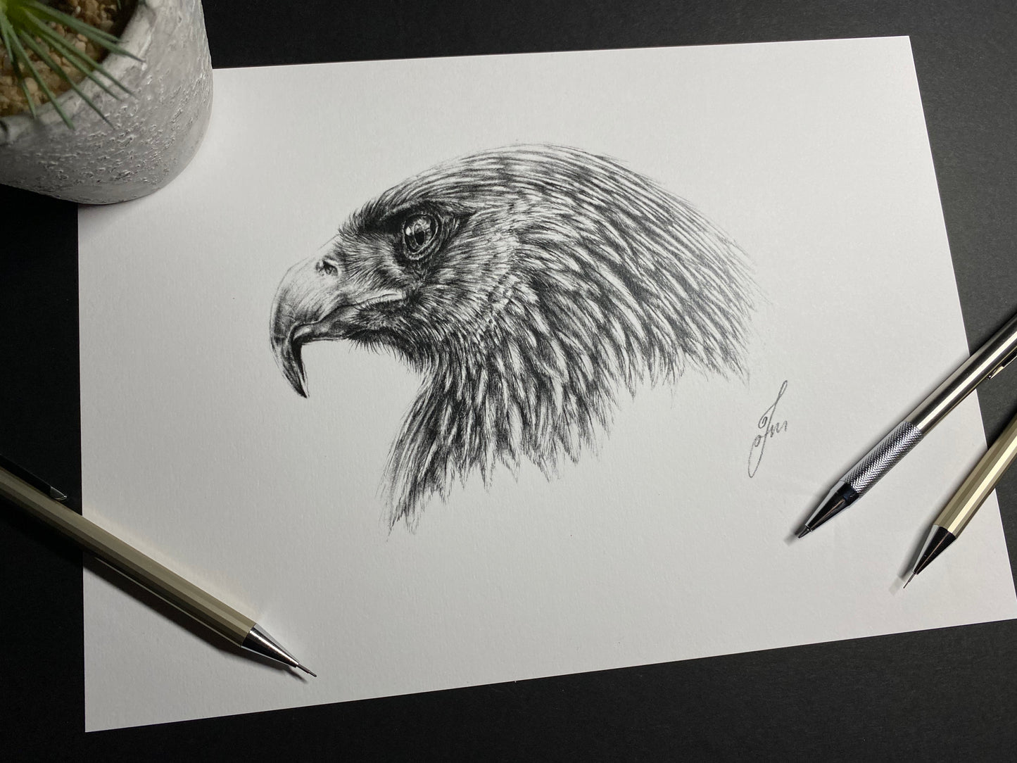 Eagle Graphite Pencil Drawing - PRINT