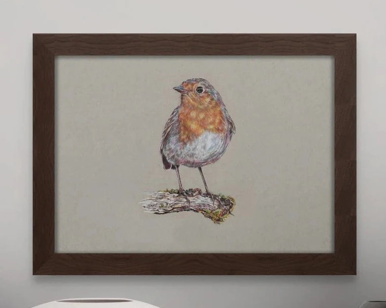 framed print of a realistic coloured pencil drawing of a robin