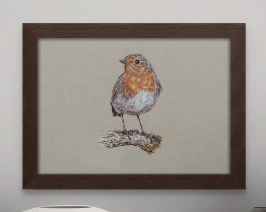 framed print of a realistic coloured pencil drawing of a robin