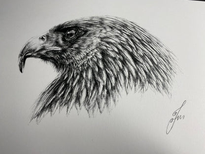limited edition print of a realistic golden eagle drawing completed using graphite pencils