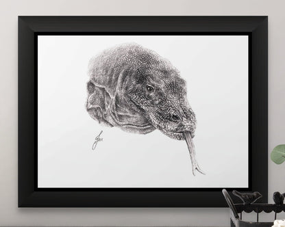 limited edition art print of my realistic graphite pencil drawing of a komodo dragon by tom mothersole