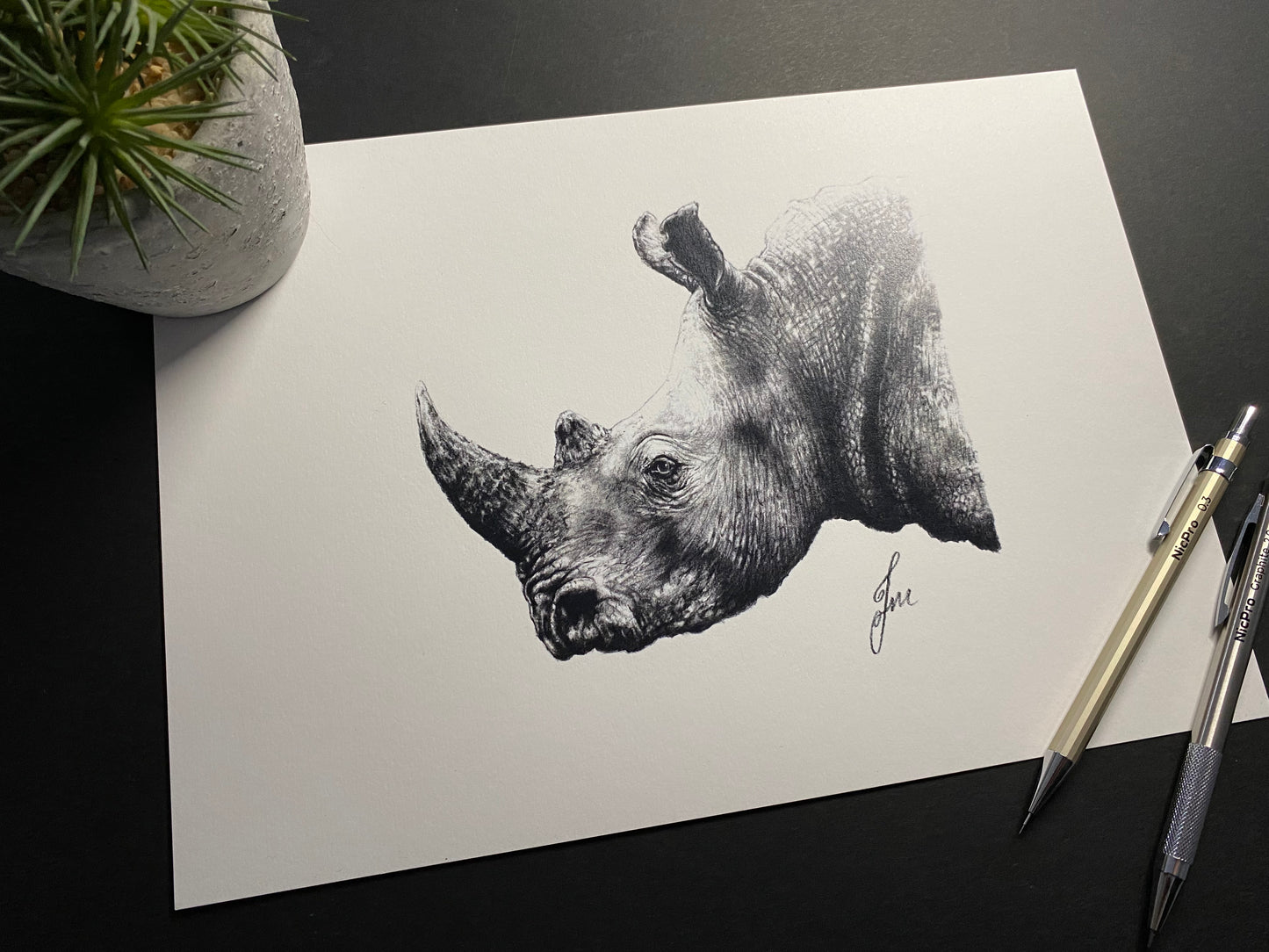 Rhino Graphite Drawing - PRINT