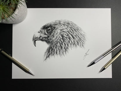 limited edition print of a realistic golden eagle drawing completed using graphite pencils