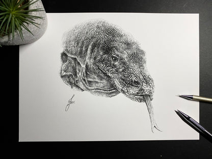 limited edition art print of my realistic pencil drawing of a komodo dragon portrait by tom mothersole