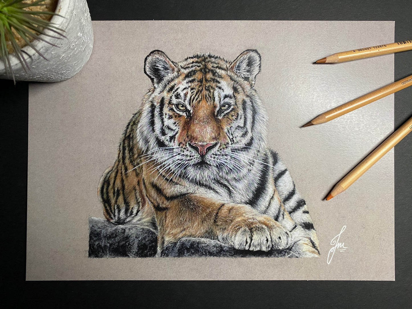 Tiger Pastel Pencil Drawing - PRINT