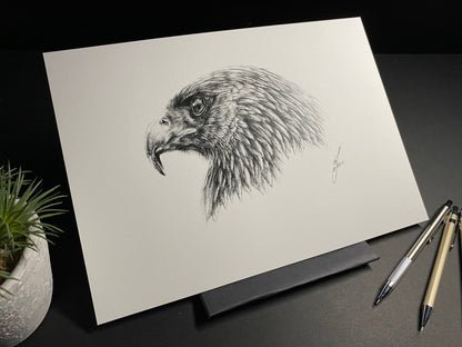 limited edition print of a realistic golden eagle drawing completed using graphite pencils
