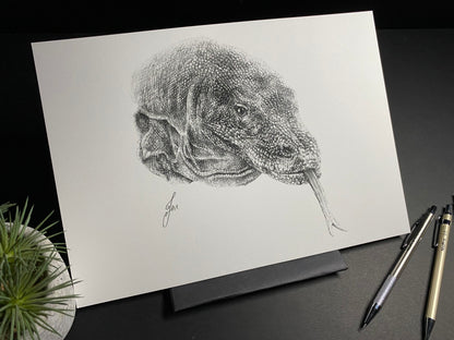 limited edition art print of my realistic pencil drawing of a komodo dragon portrait by tom mothersole