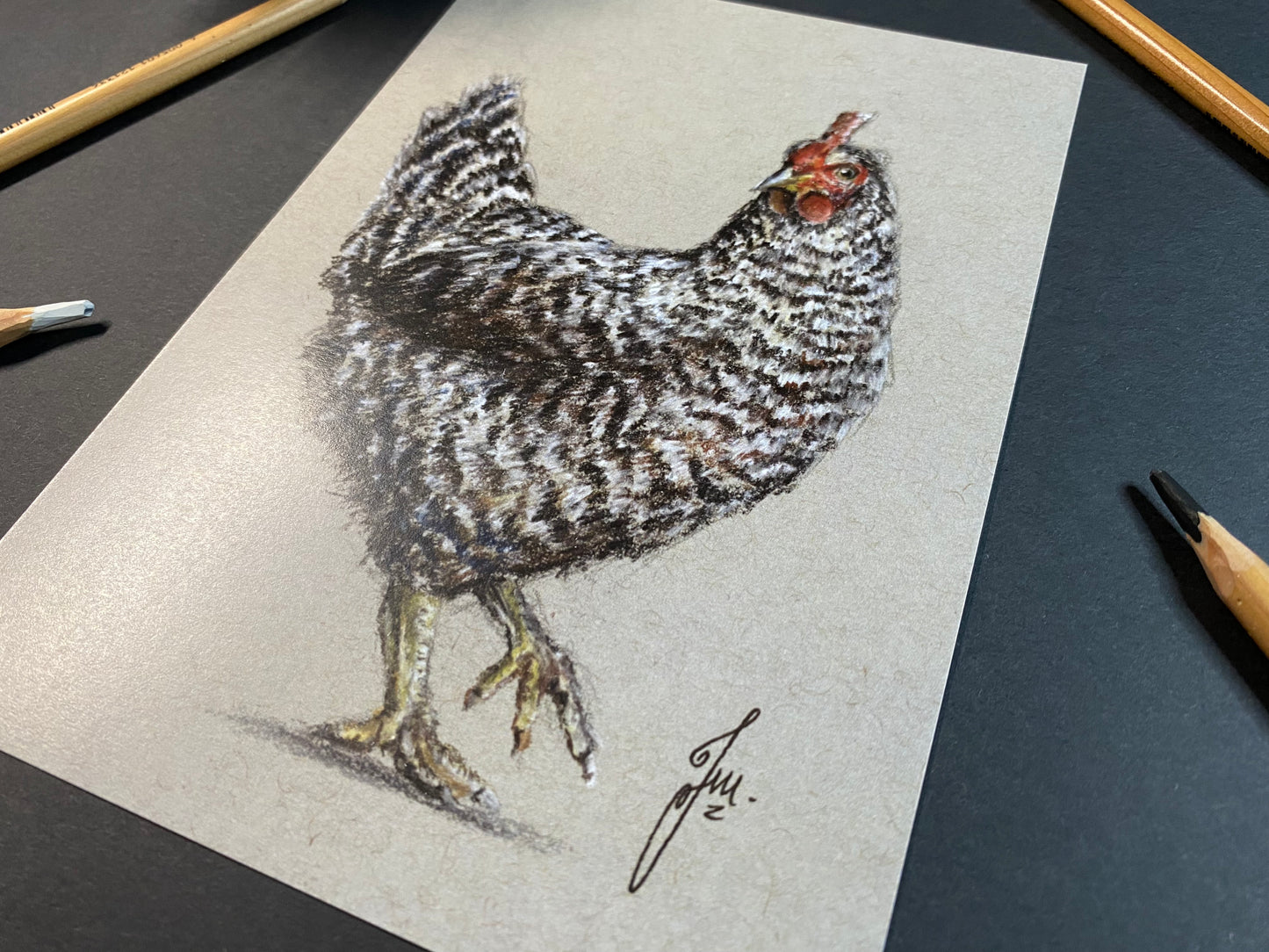 Speckled Hen Pastel Drawing - PRINT