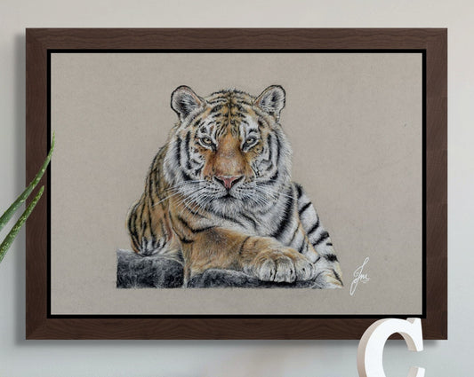 framed print of a realistic pastel pencil drawing of a tiger