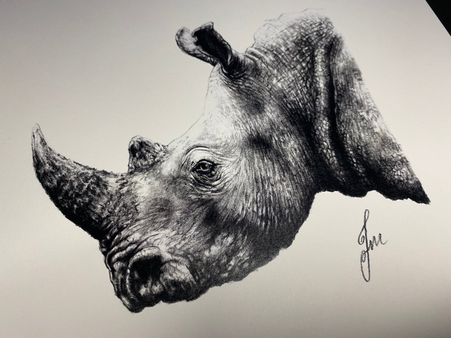 Rhino Graphite Drawing - PRINT